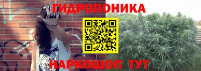 ешки Мариинск