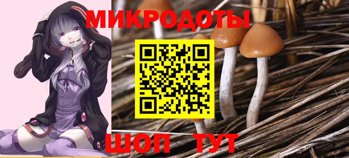Псилоцибиновые грибы Psilocybe  Вход с VPN  Химки 