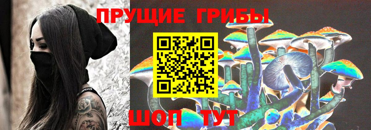 Галлюциногенные грибы Cubensis Химки